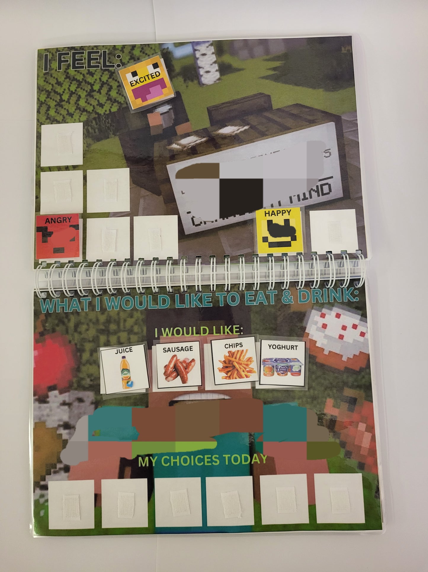 Special Needs Communication Book